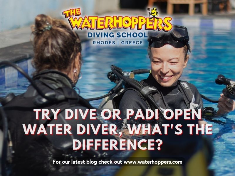 Try Dive or PADI Open Water Diver